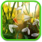 Logo of Spring Live Wallpaper android Application 