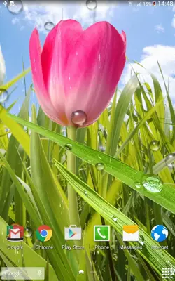 Spring Live Wallpaper android App screenshot 6